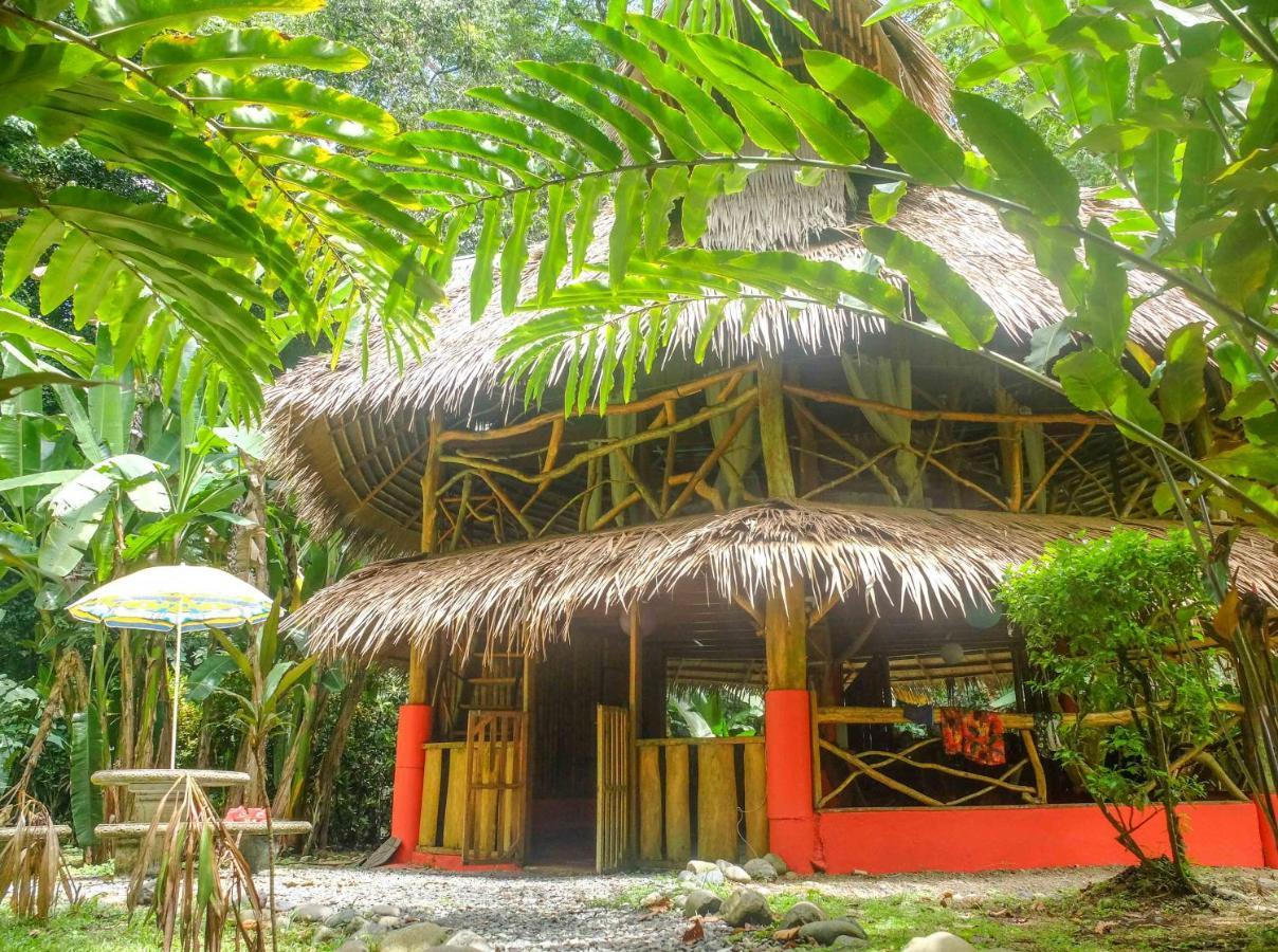 Casa Moabi Bed and Breakfast Cocles Δωμάτιο φωτογραφία