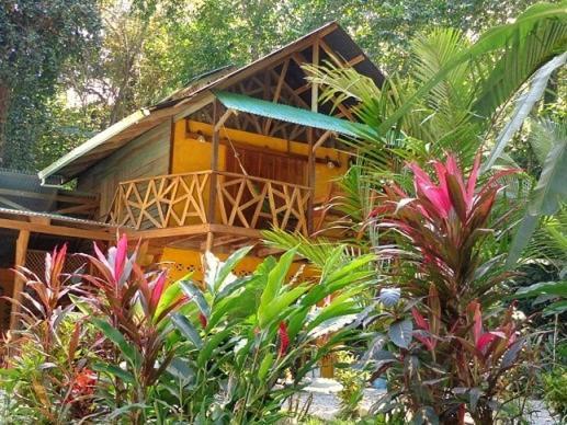 Casa Moabi Bed and Breakfast Cocles Εξωτερικό φωτογραφία