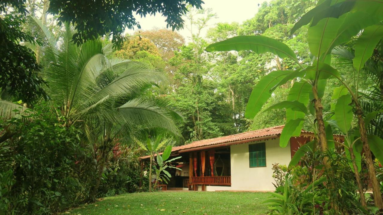 Casa Moabi Bed and Breakfast Cocles Εξωτερικό φωτογραφία