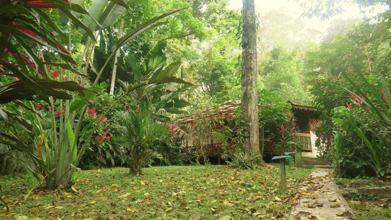 Casa Moabi Bed and Breakfast Cocles Εξωτερικό φωτογραφία